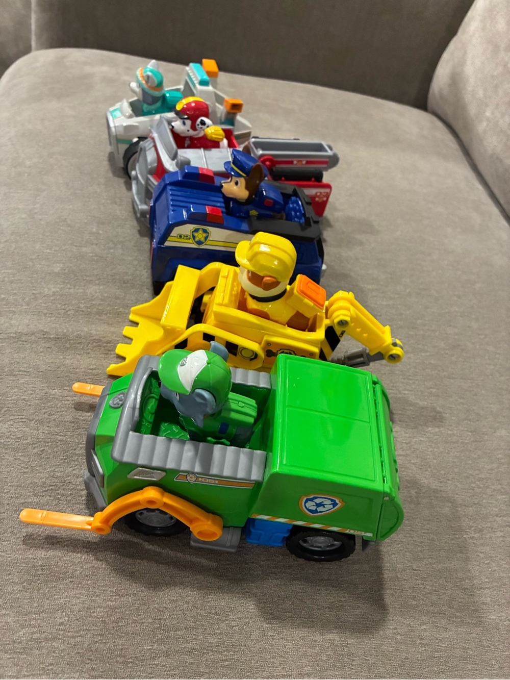 Skye, Marshall, Chase, Rubble, and Rocky. (Paw Patrol)